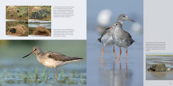 Praktijkboek Vogelfotografie