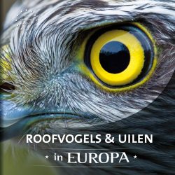 Roofvogels en Uilen van Europa