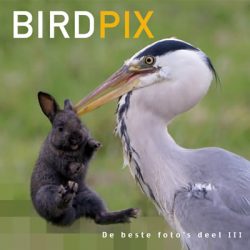 Birdpix 3 - De beste foto's