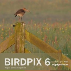 Birdpix 6 - 88 vogelgebieden in Nederland