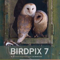 Birdpix 7 - De 77 meest fotogenieke vogels