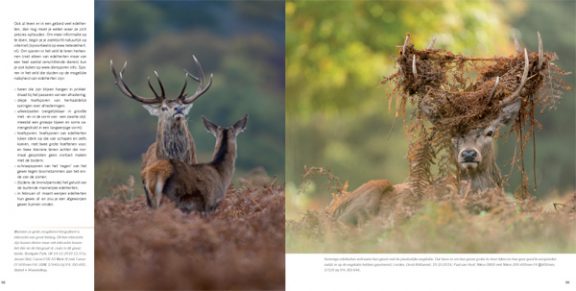 Praktijkboek Wildlife fotografie